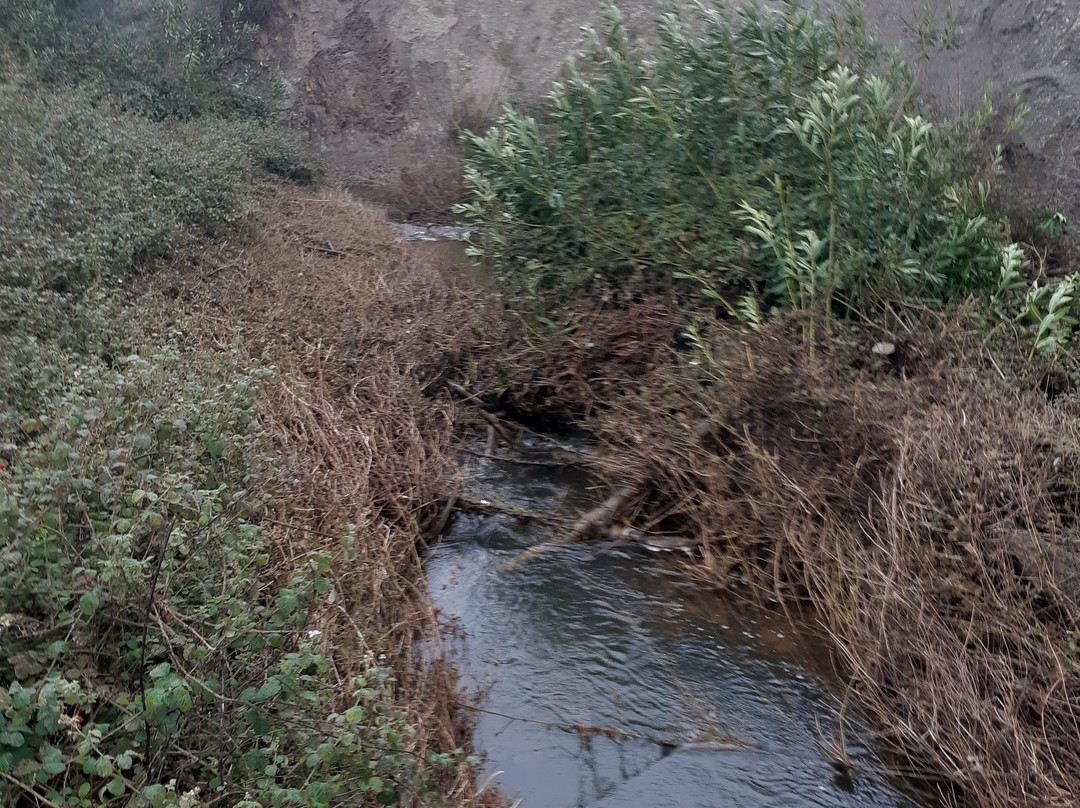 Iyon Stream Nature Reserve景点图片