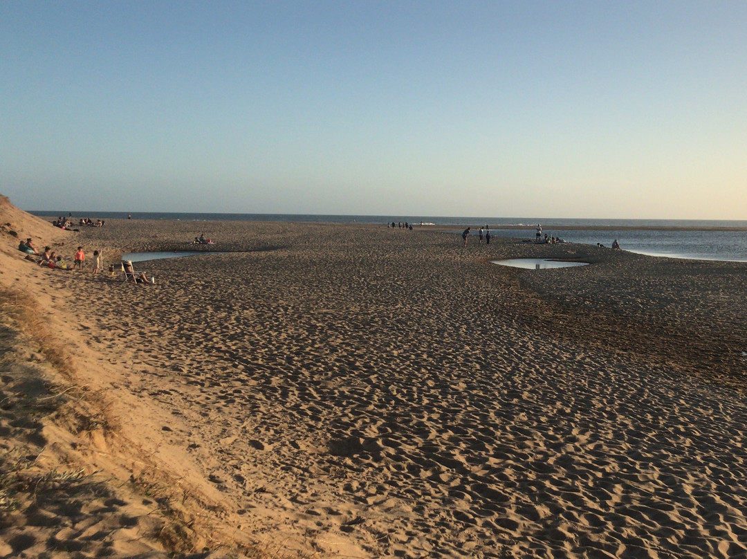 Laguna de Rocha-Rocha必去景点