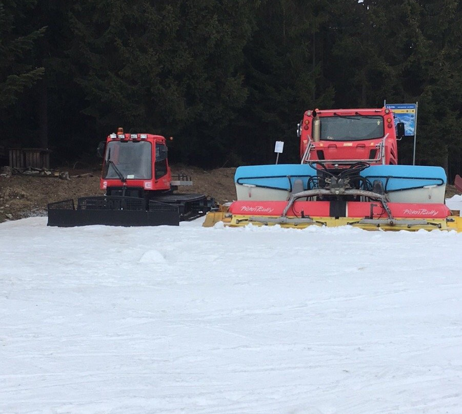 Ski Areal Lipno nad Vltavou景点图片
