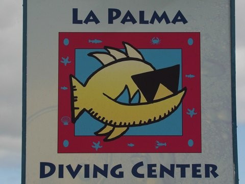 Punkfish Diving La Palma景点图片