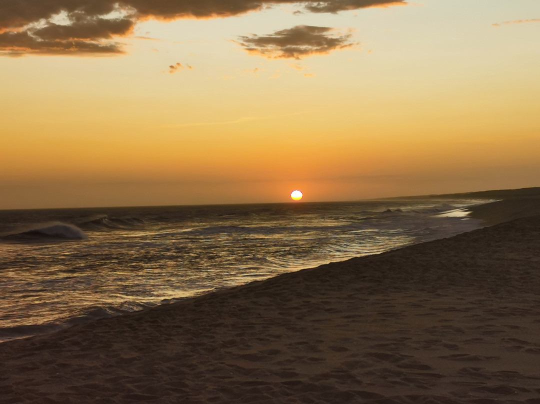 Senderos Tours-La Paloma必去景点