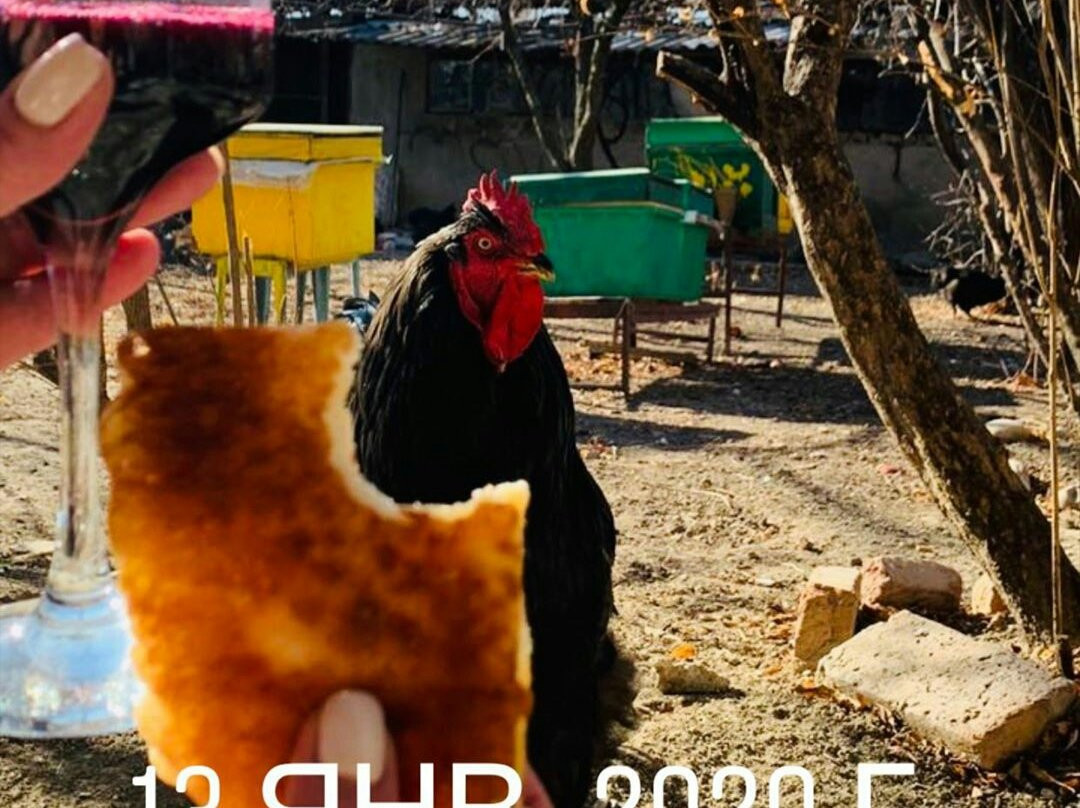 Tedo Papas Marani-Khashmi必去景点