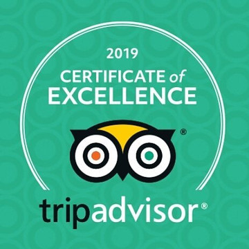 Bear Towne Escape Room-新伯尔尼必去景点