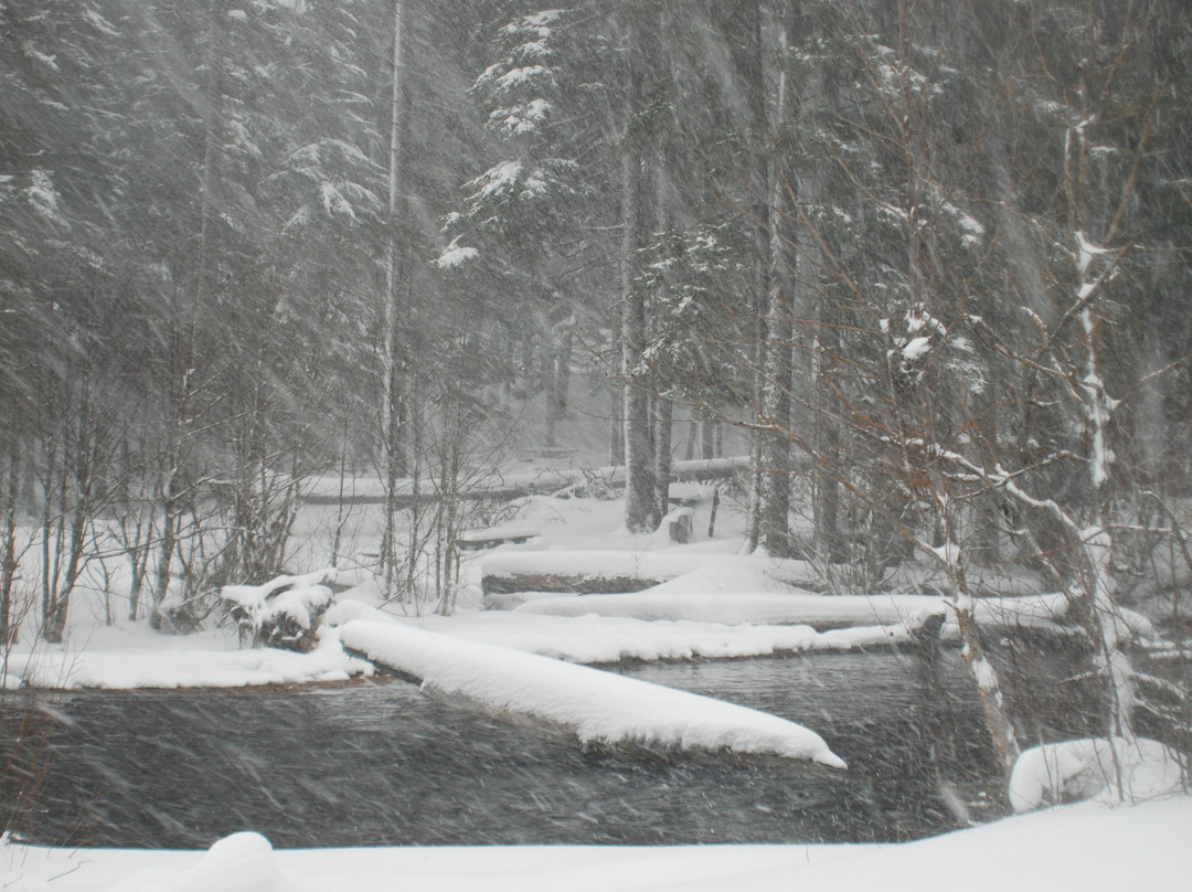 Odell Lake Lodge & Resort主图