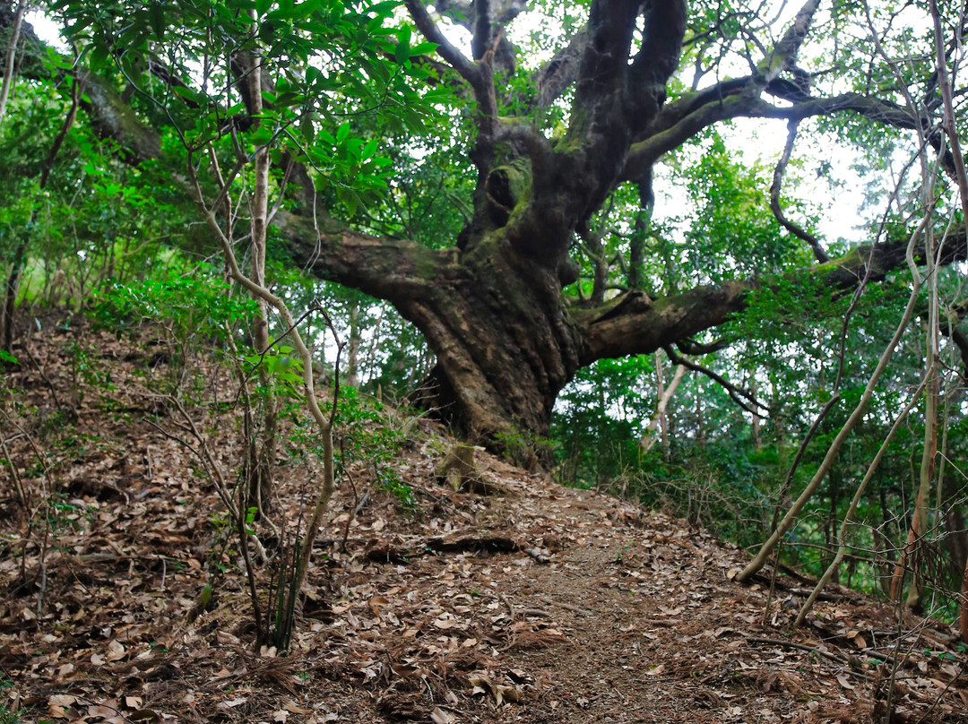 Ubakkashi-都几川町必去景点
