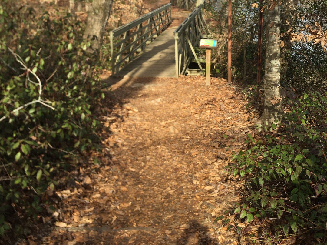 Island Ford Park-桑迪斯普林斯必去景点