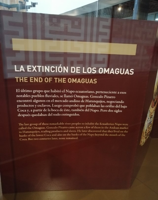 MACCO - Museo Arqueologico Centro Cultural Orellana景点图片