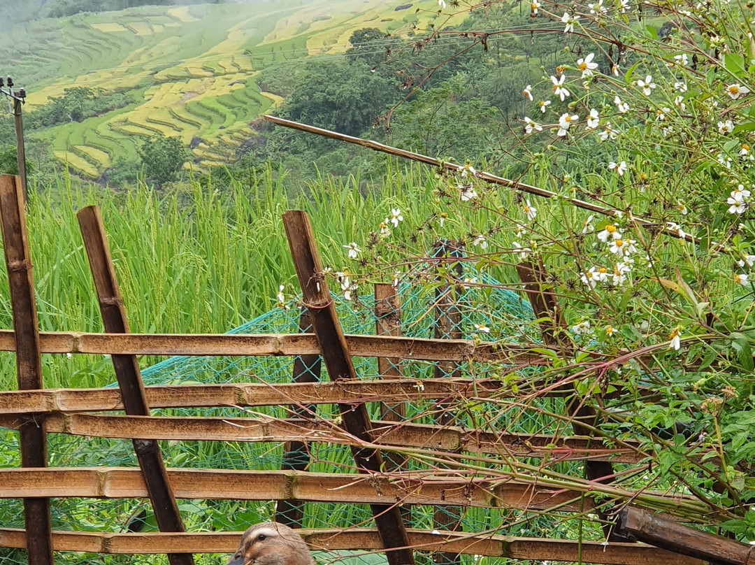 Mai Chau Home主图
