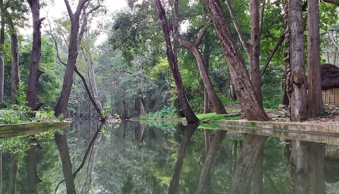 Talakona Waterfall景点图片