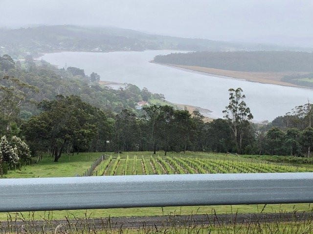 Marion's Vineyard景点图片