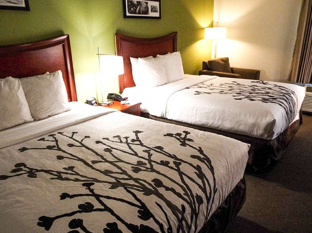 Sleep Inn & Suites主图
