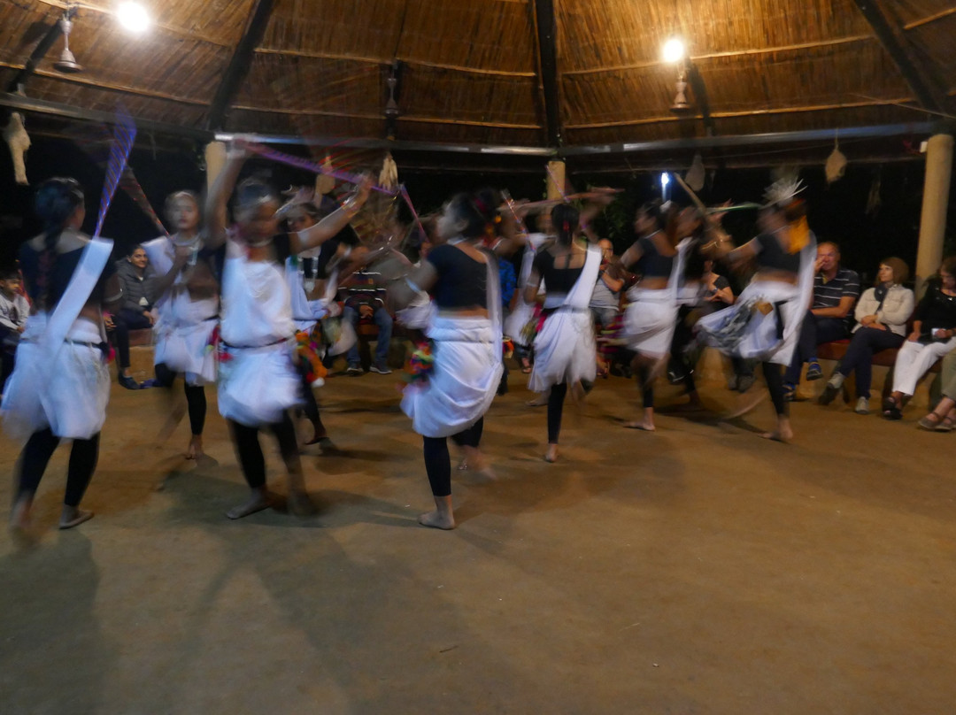 Sauraha Tharu Culture House景点图片