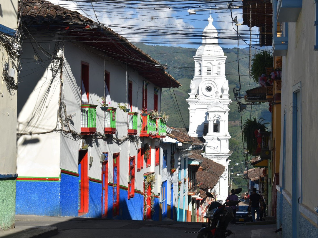 Bonsai Casa Hotel主图