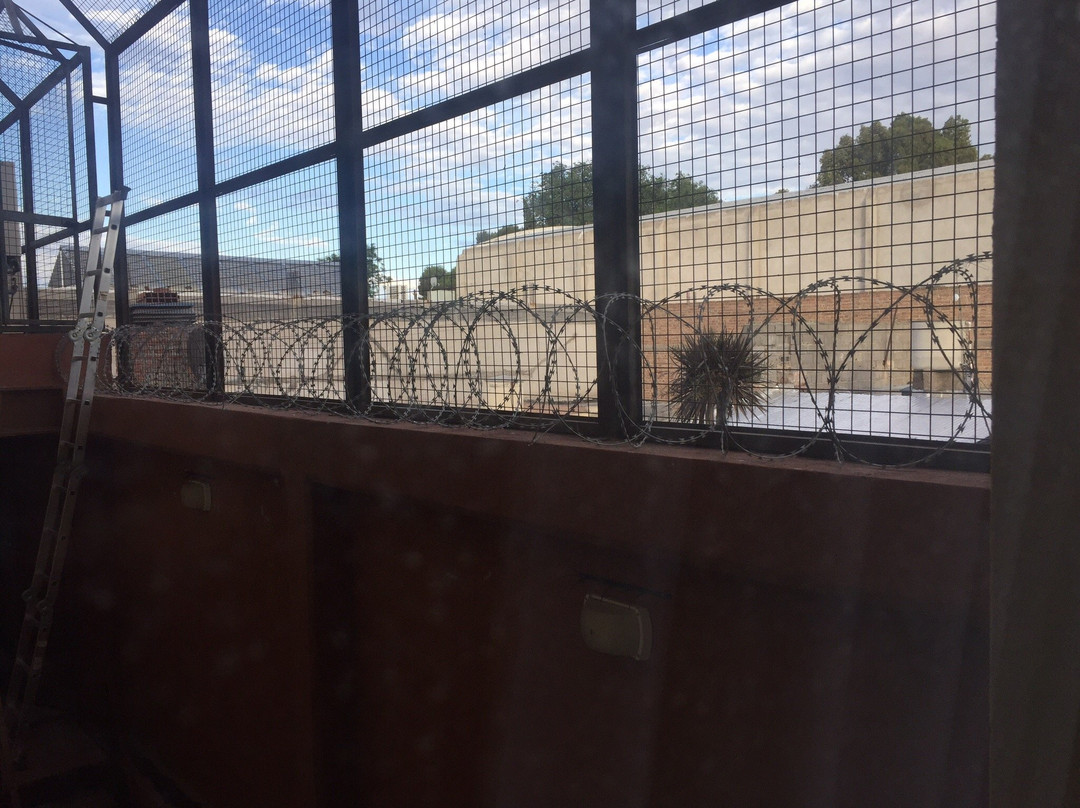 Patagonia Suites & Apart主图