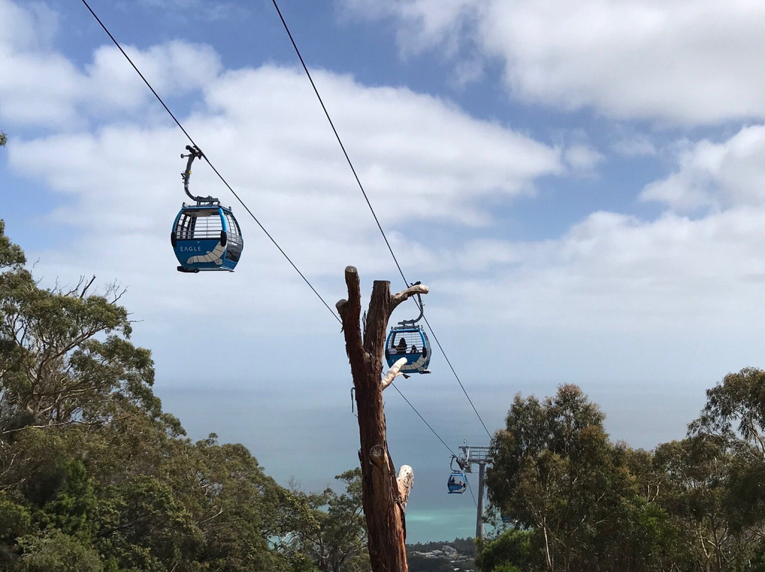 Arthurs Seat State Park景点图片