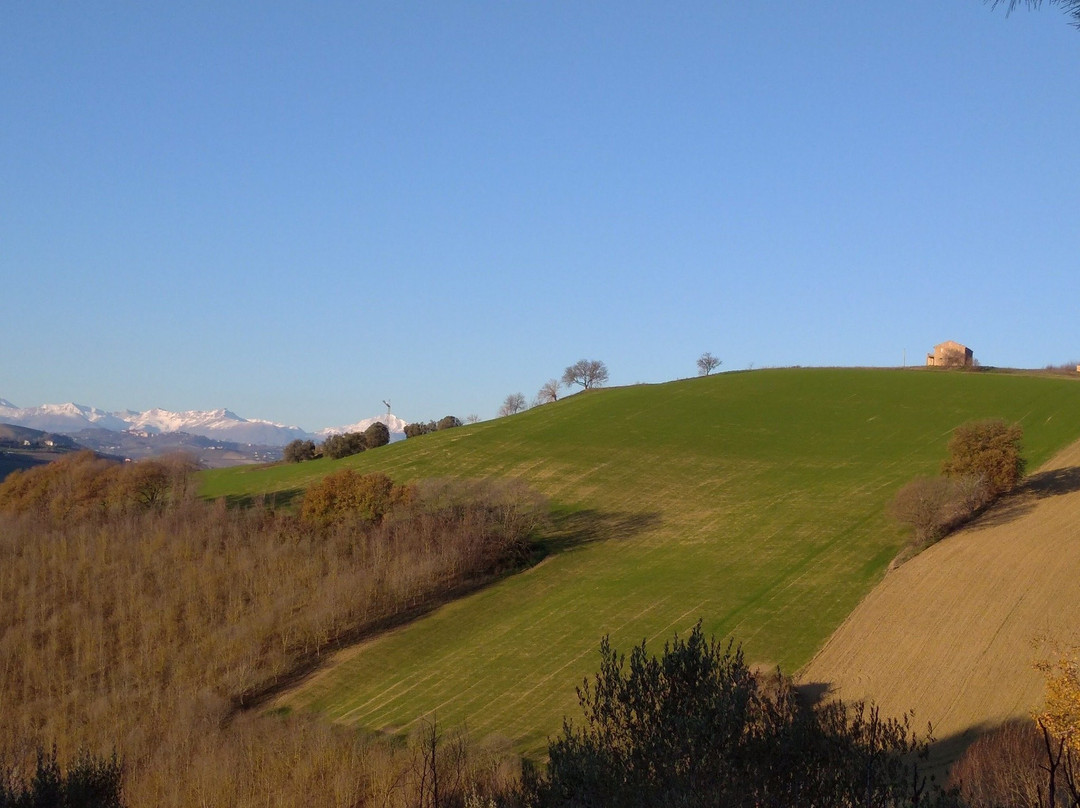 Agriturismo La Campana主图