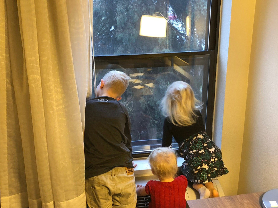 芬德雷希尔顿恒庭酒店主图