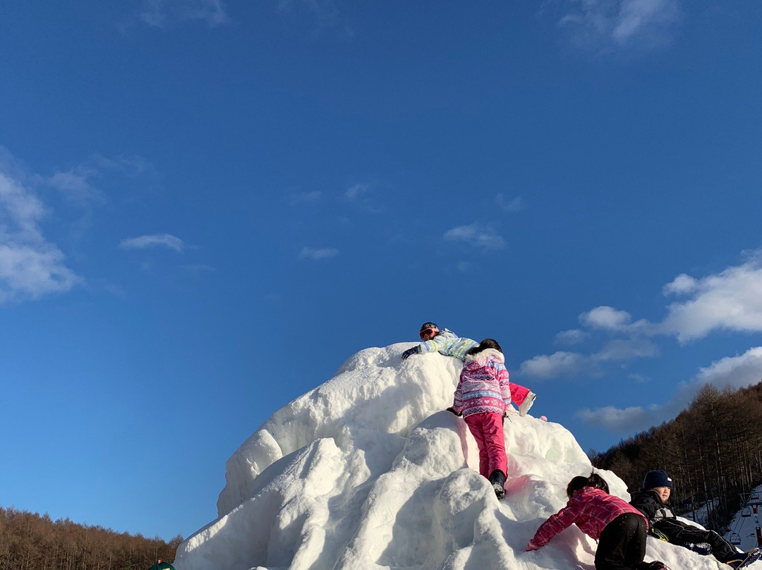 Karuizawa Snow Park景点图片
