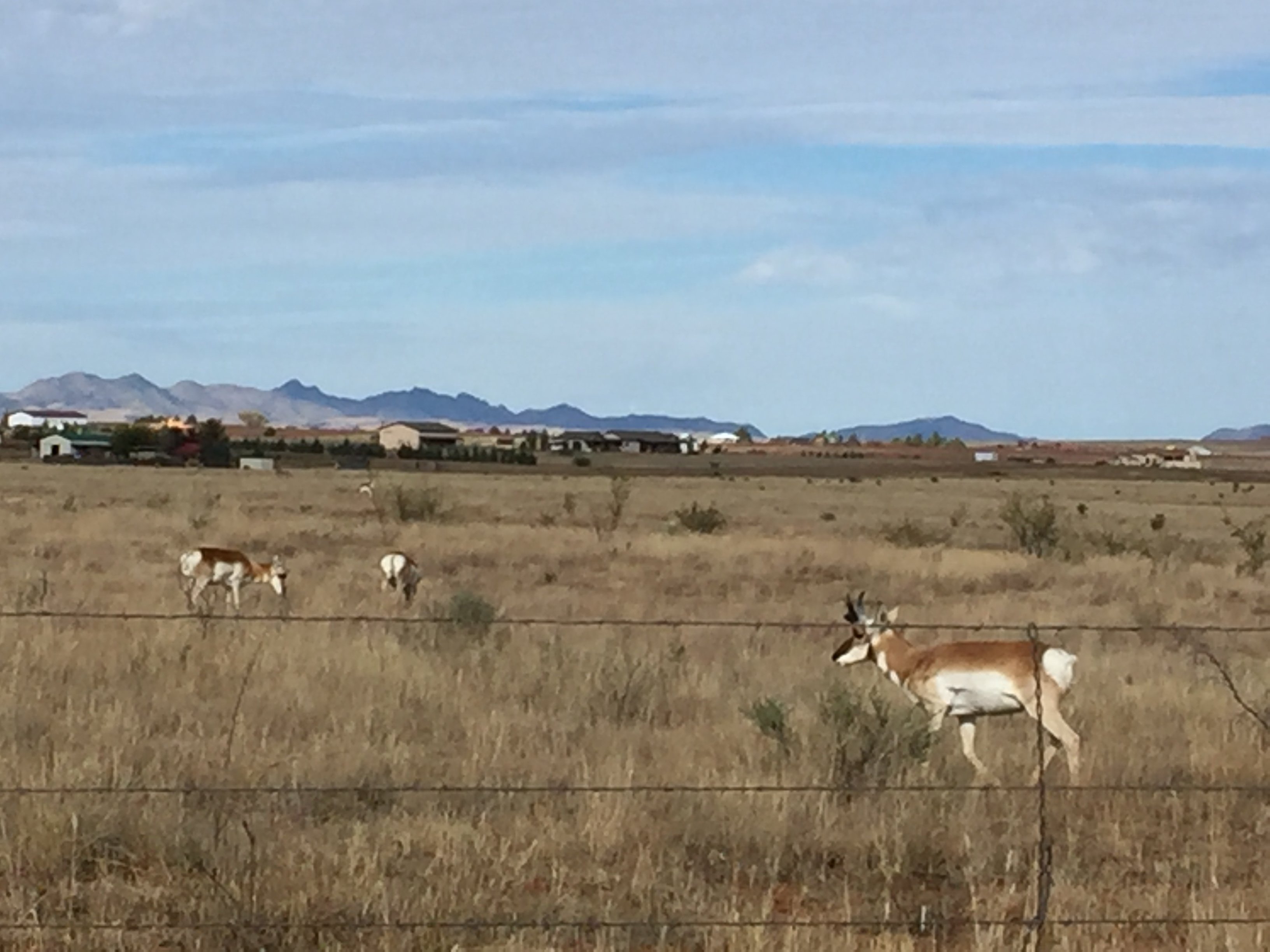 La Hacienda de Sonoita-酒店景观