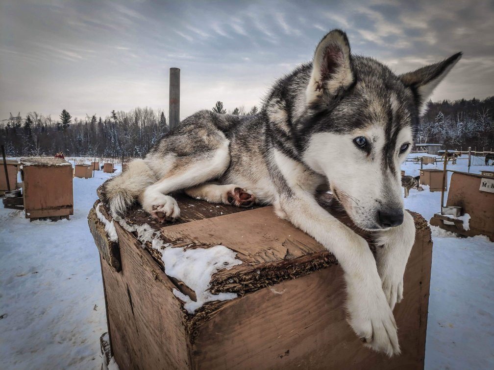 Kinadapt-Rawdon必去景点