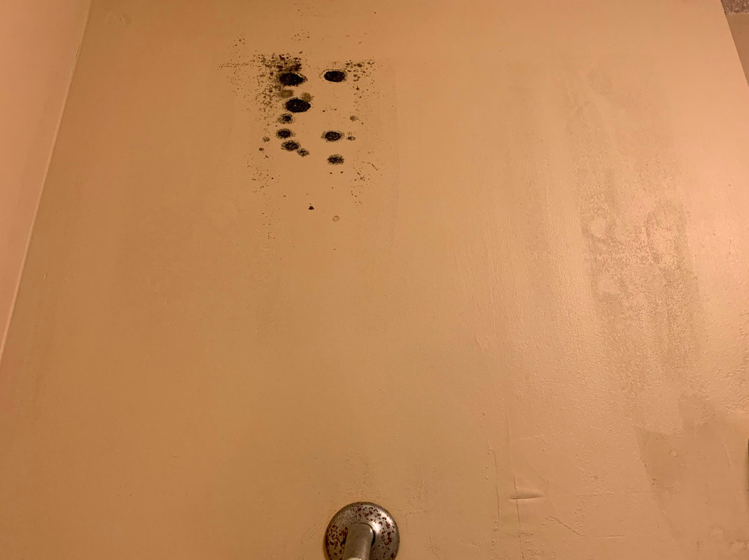 Baymont by Wyndham Memphis East主图