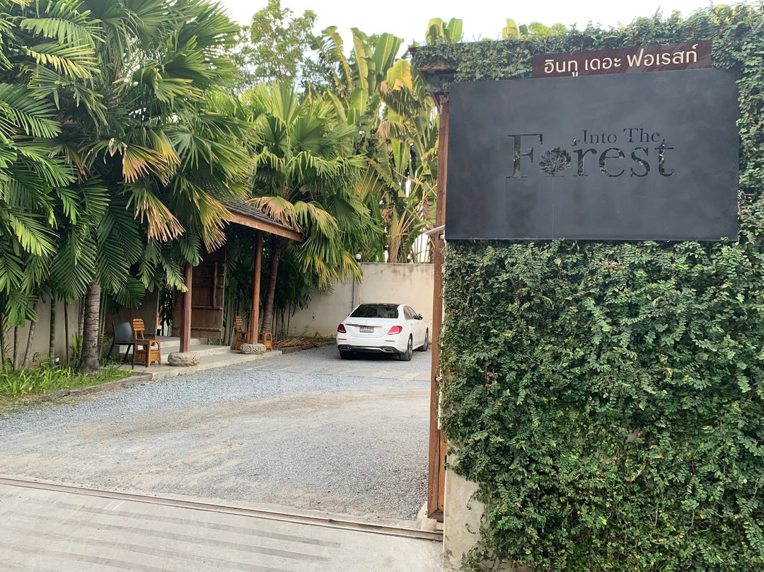 Into The Forest Resort主图