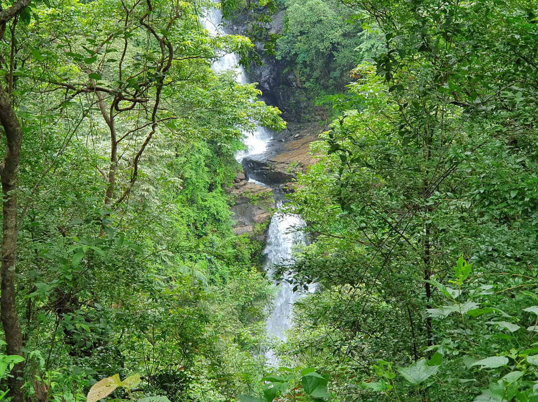 Neturlem Waterfall (Savri)景点图片