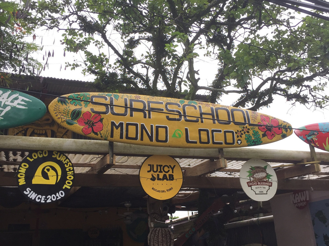 Mono Loco Surf School景点图片