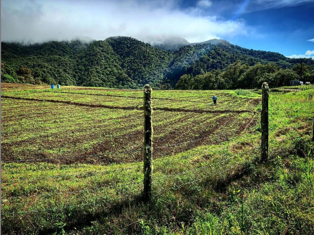 Sendero Los Quetzales景点图片