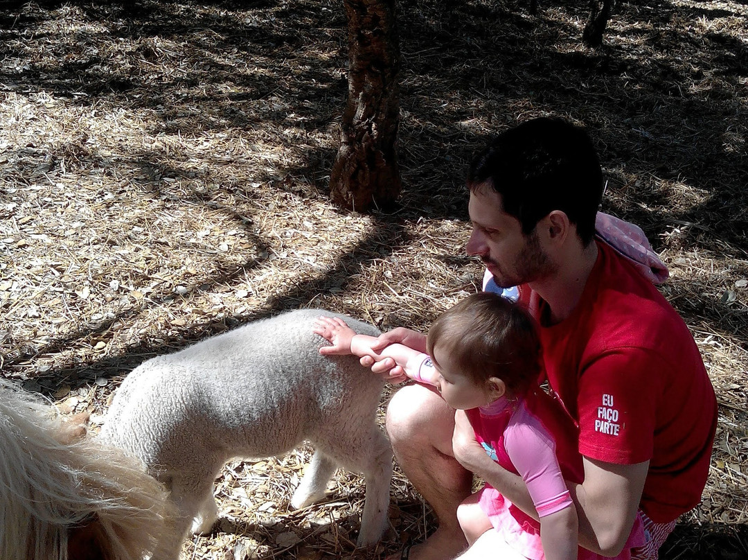 Quinta da Samoqueirinha主图