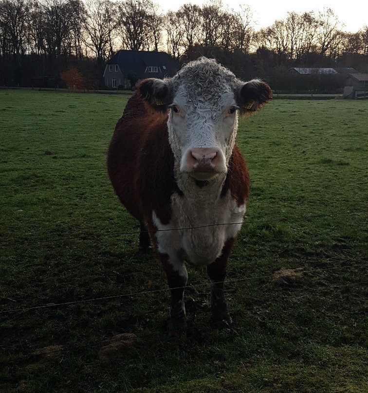 Hotel en B&B Erve Bruggert主图