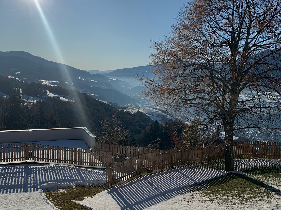 Aparthotel Bacher主图