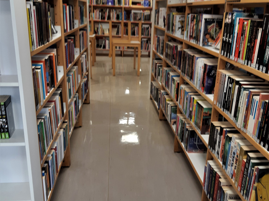 Bibliothèque municipale景点图片