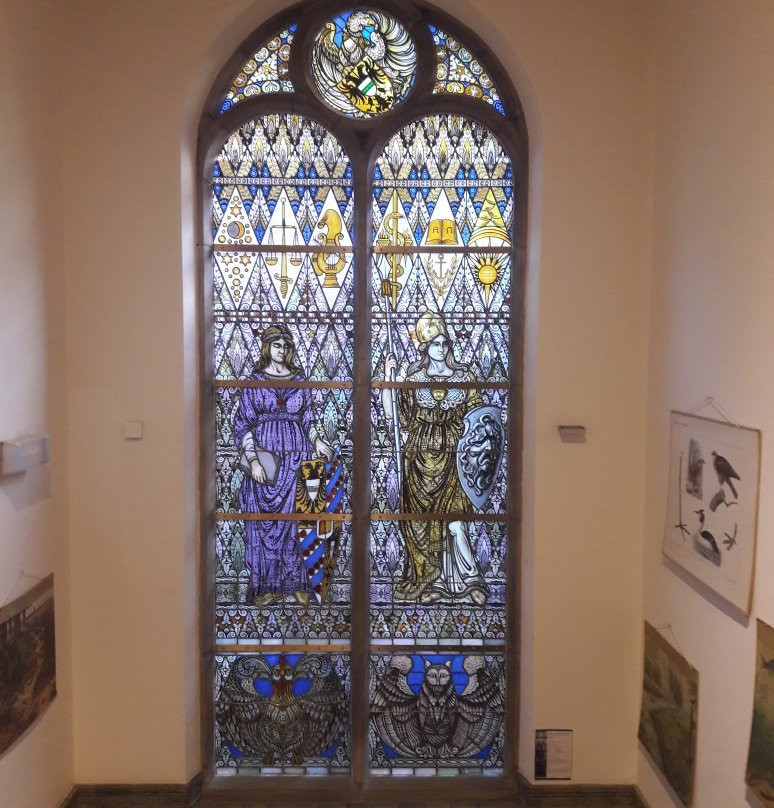 University Museum Groningen-格罗宁根省必去景点