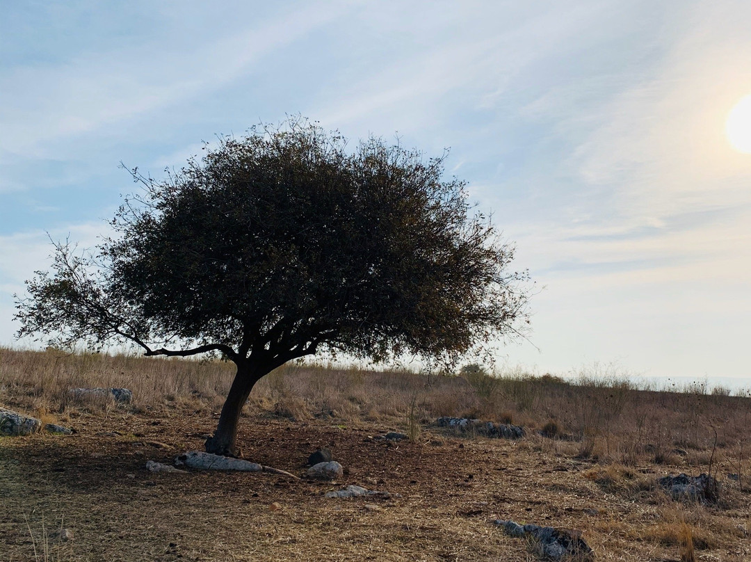 Mount Arbel-米格德尔必去景点