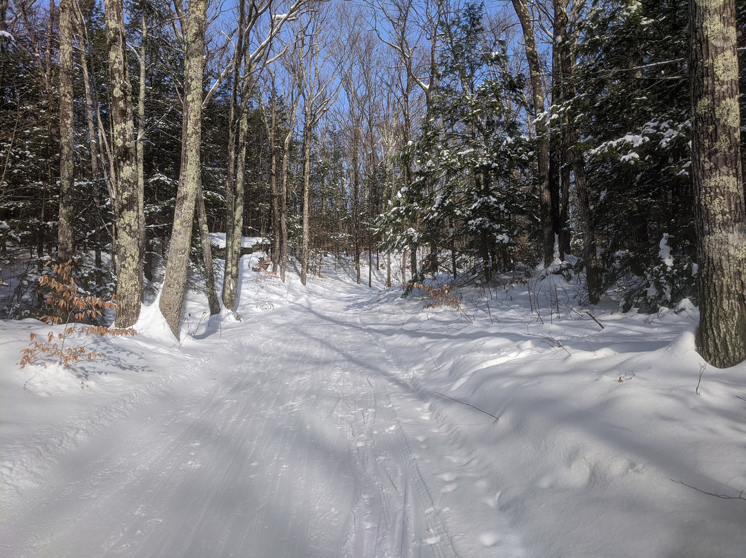Northfield Mountain Cross Country Ski Area-Northfield必去景点