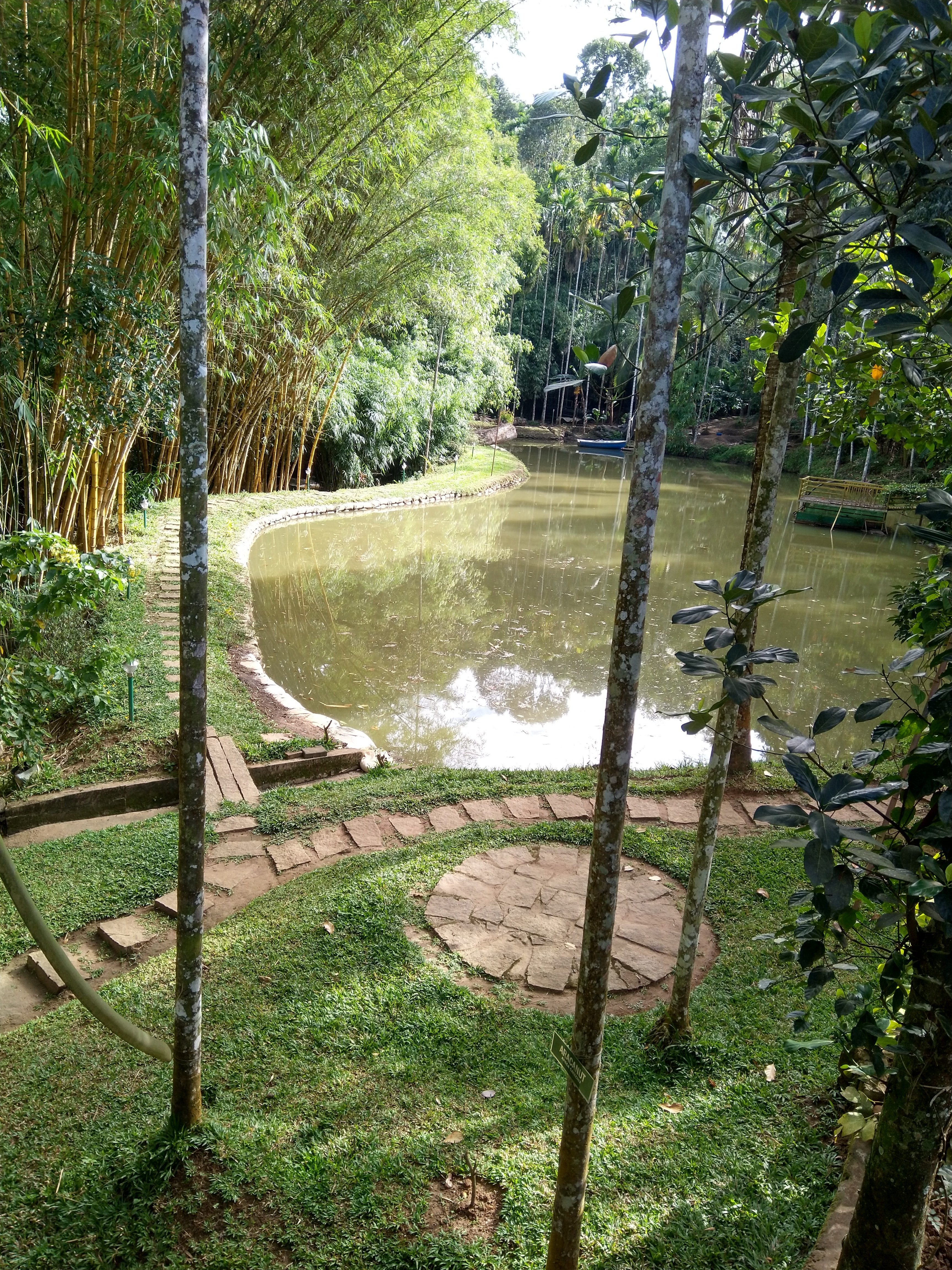 Bamboo Creek Resort-泳池