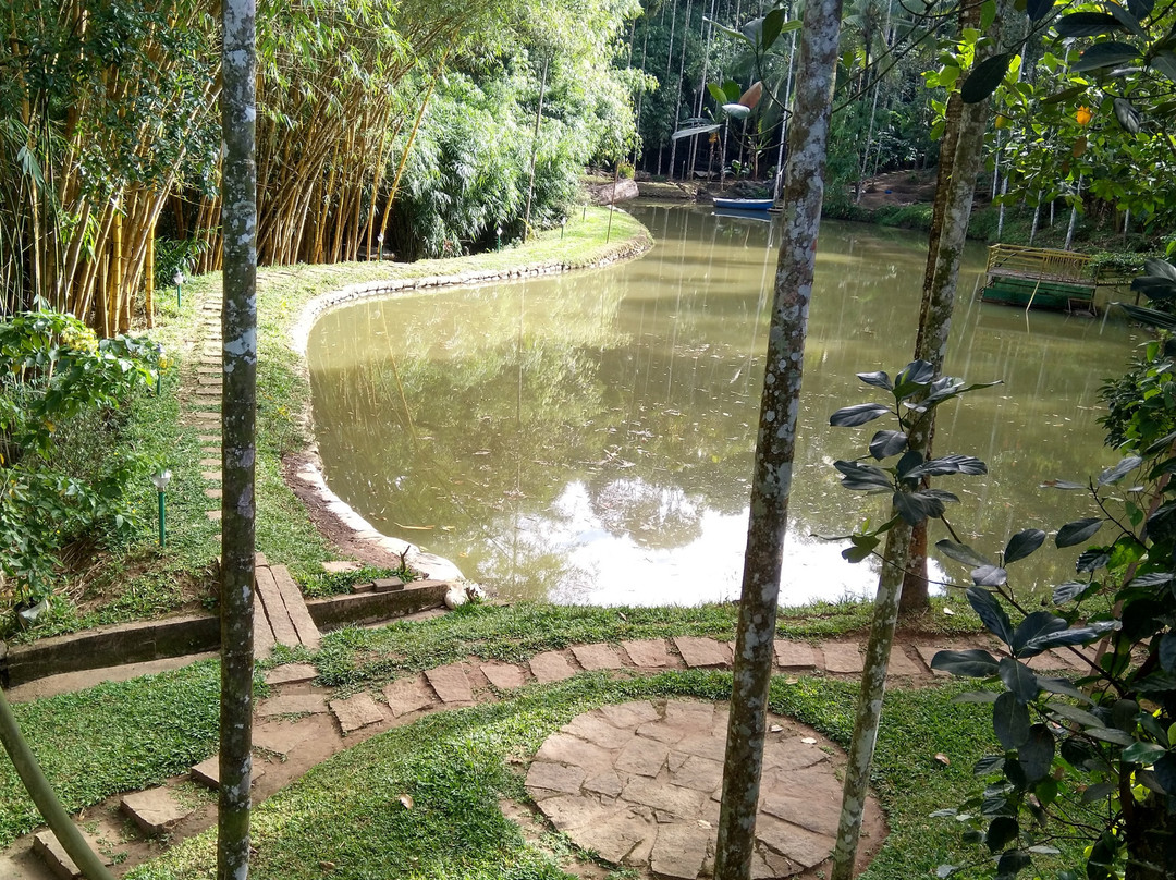 Bamboo Creek Resort主图