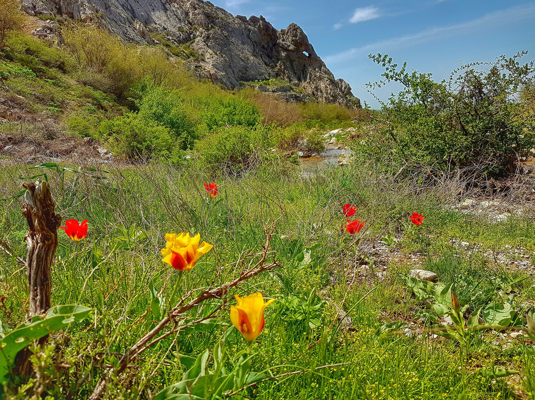 Karatau Nature Reserve-Turkistan必去景点