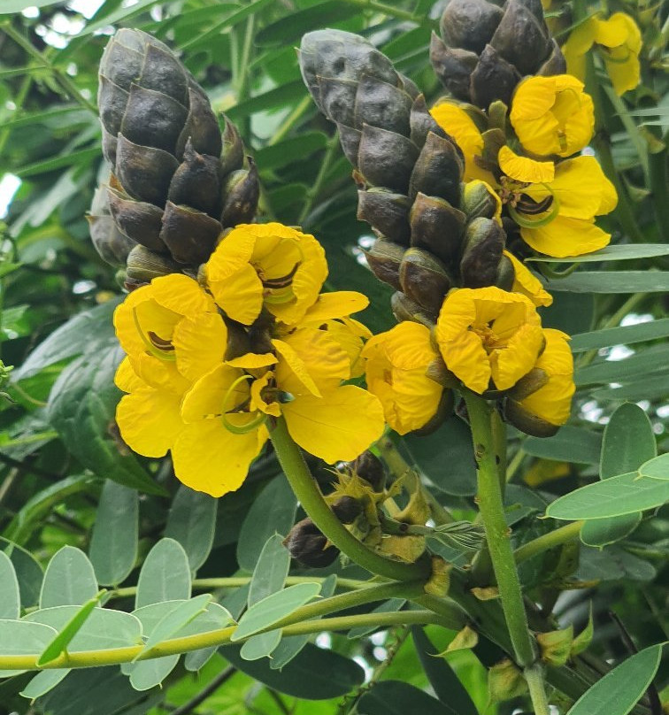 Echo Point-慕那尔必去景点