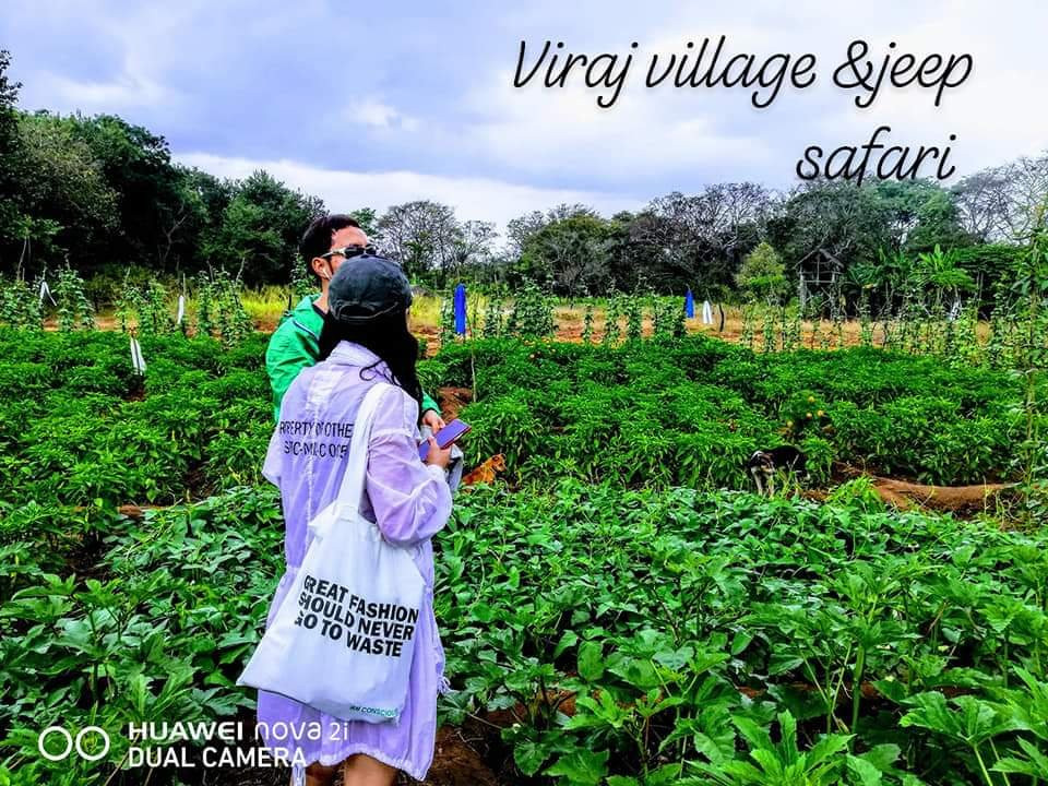 Viraj Village & Jeep Safari-哈巴拉娜必去景点