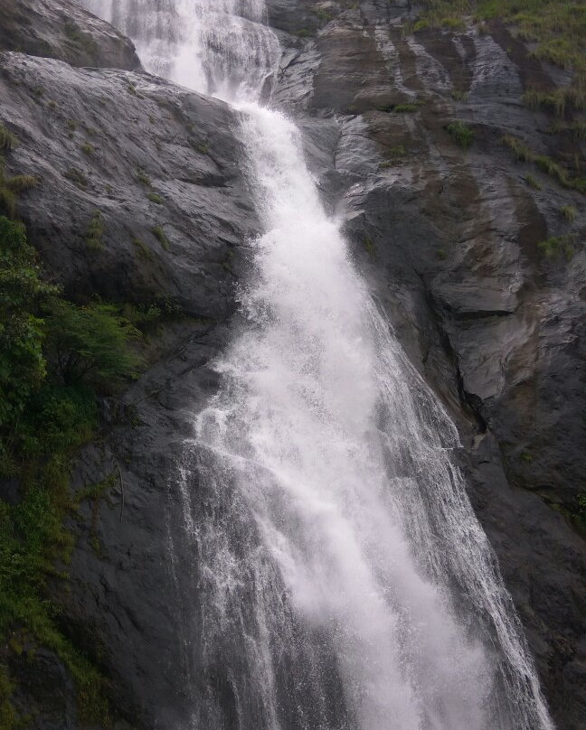 Palaruvi Falls景点图片
