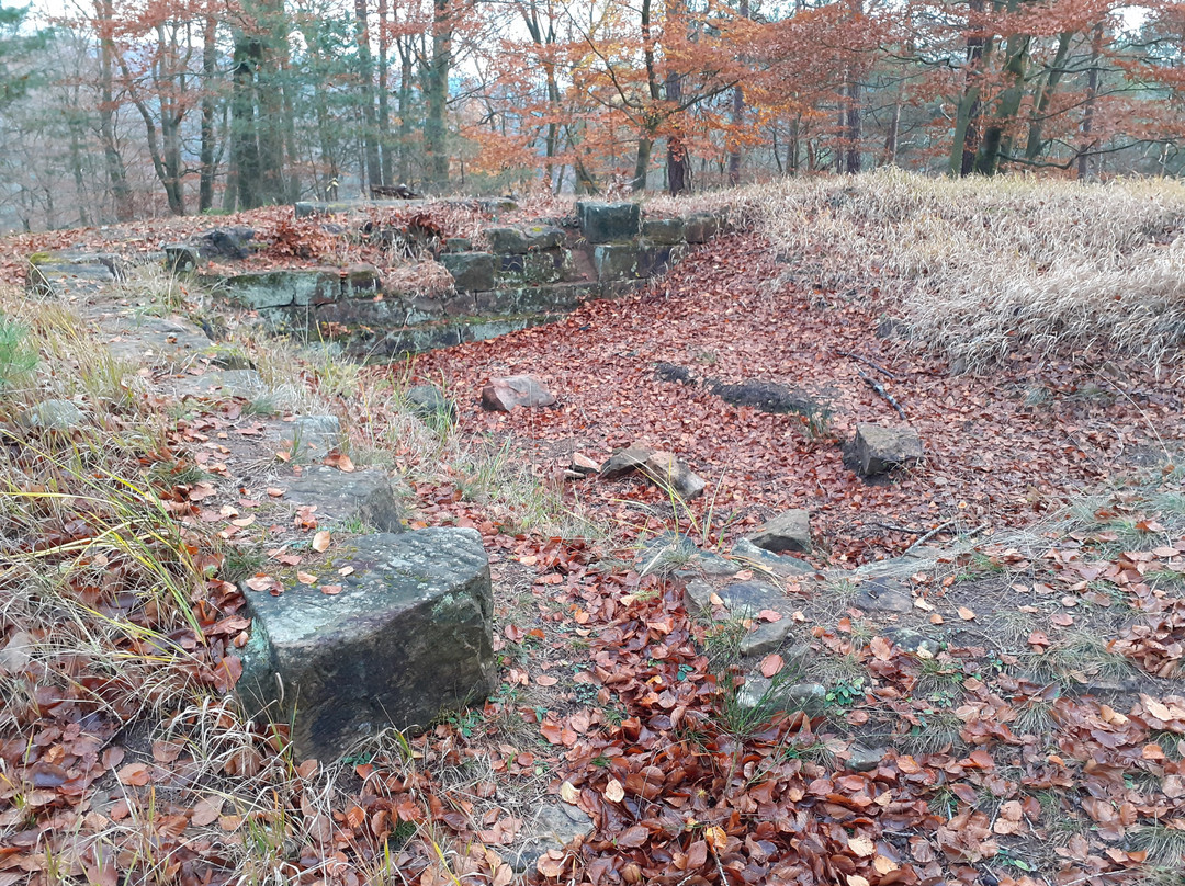 Burgruine Perlenberg-Bann必去景点