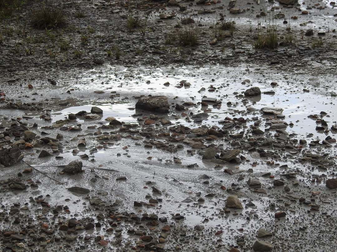 Mud Volcano景点图片