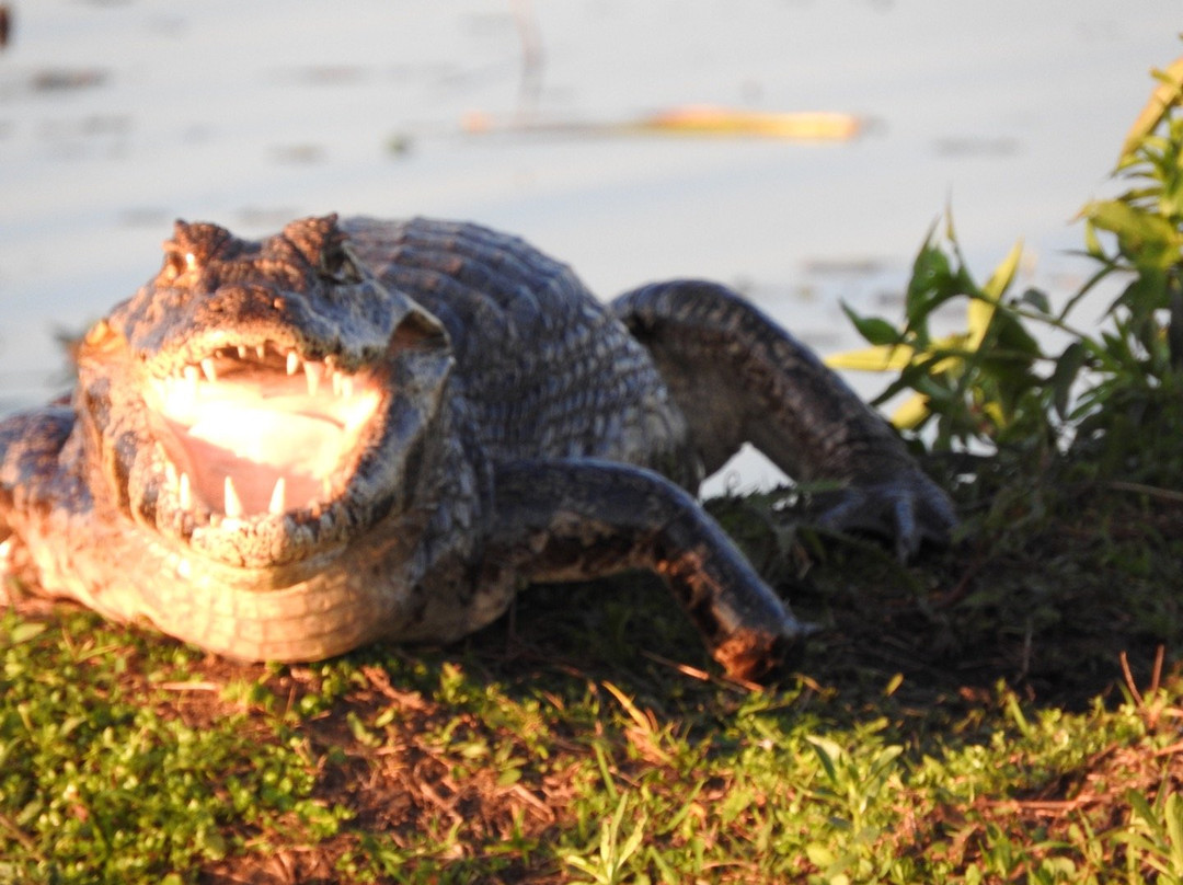 Hospedaje San Cayetano主图