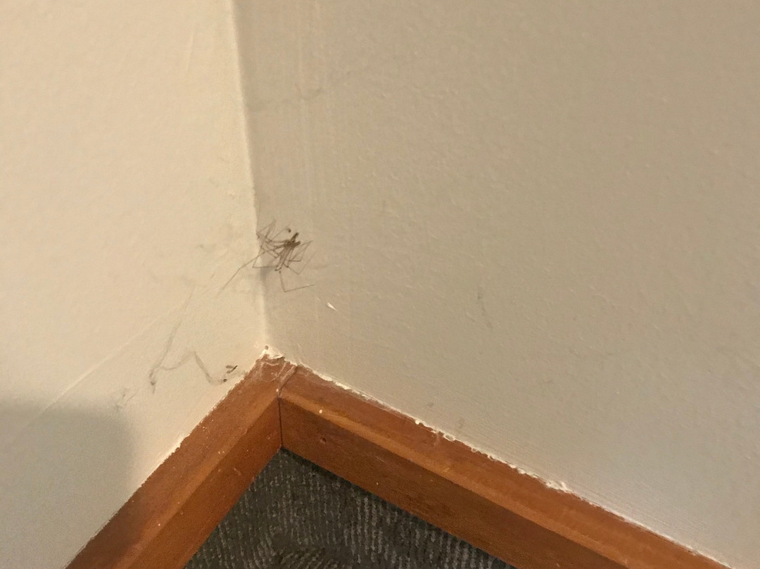 哈密尔顿千禧酒店主图