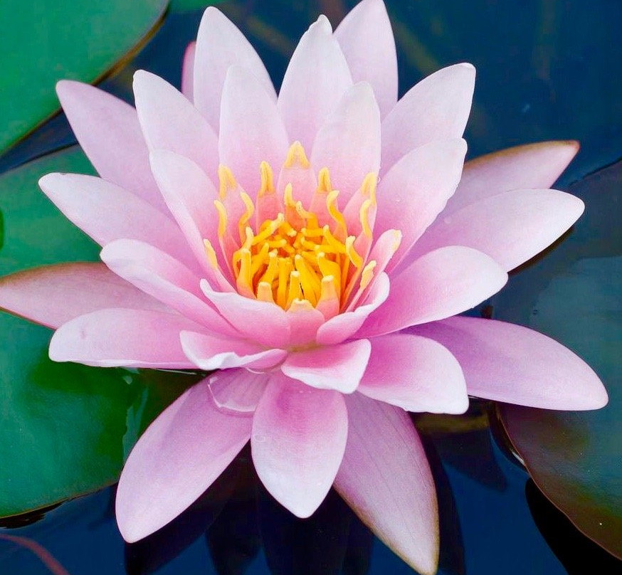 Mere旅游攻略图片