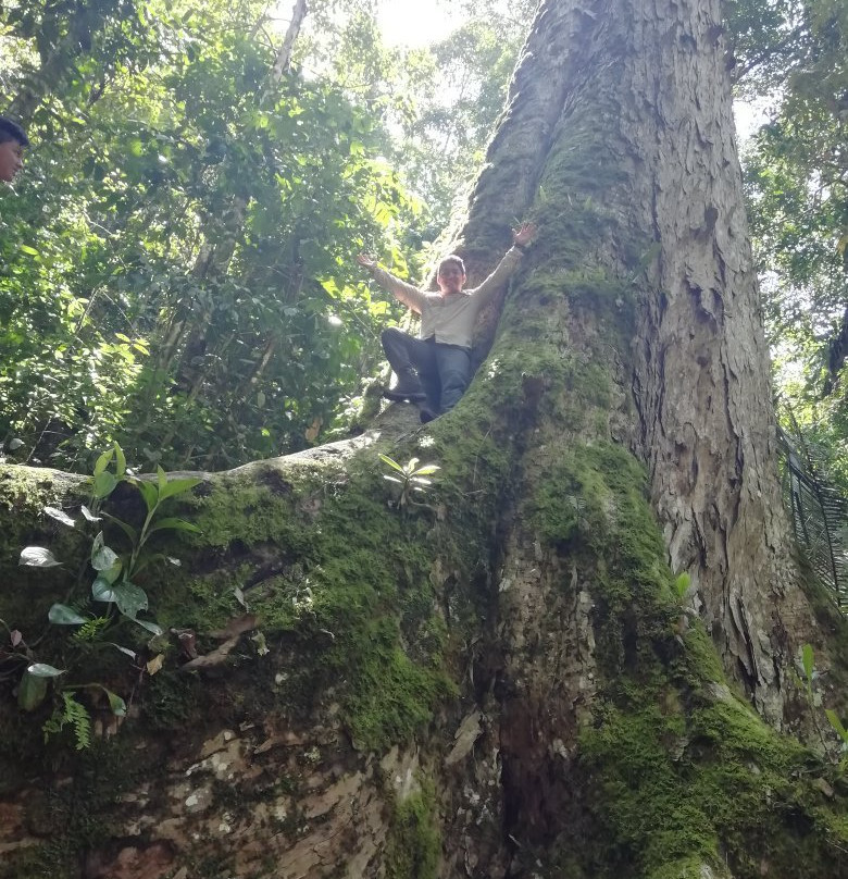 Pampa Hermosa National Sanctuary-San Ramon必去景点