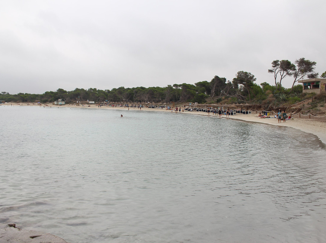 Playa dels Estanys景点图片