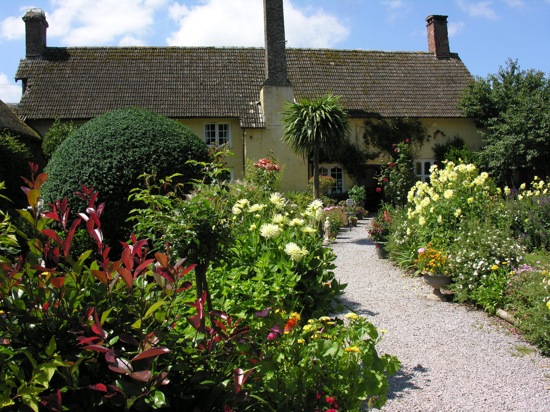 Exmoor Experience景点图片